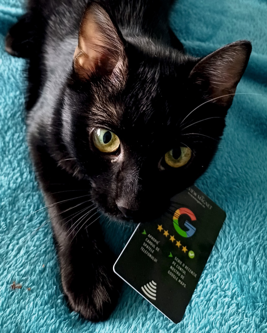 experienta clientilor